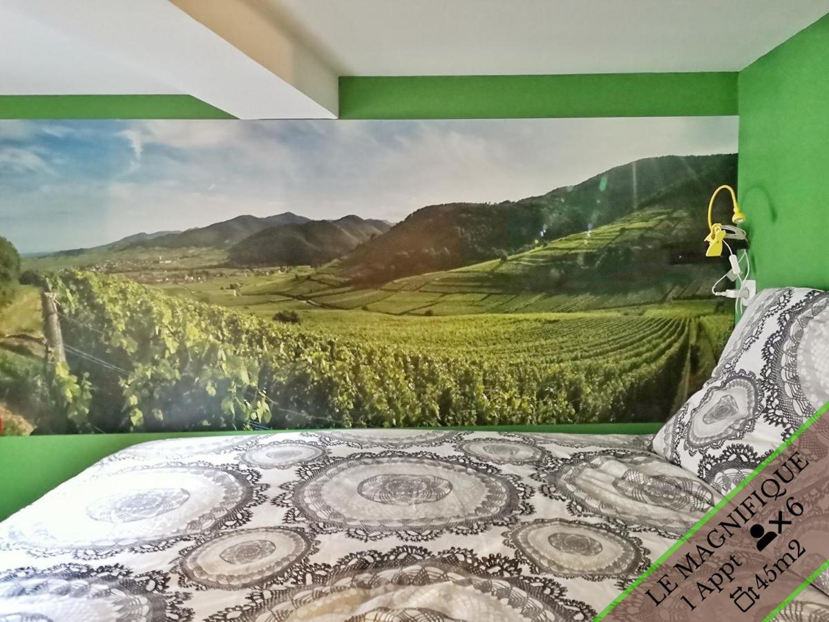 Splendide Appartement Barr - Route Du Vins Экстерьер фото