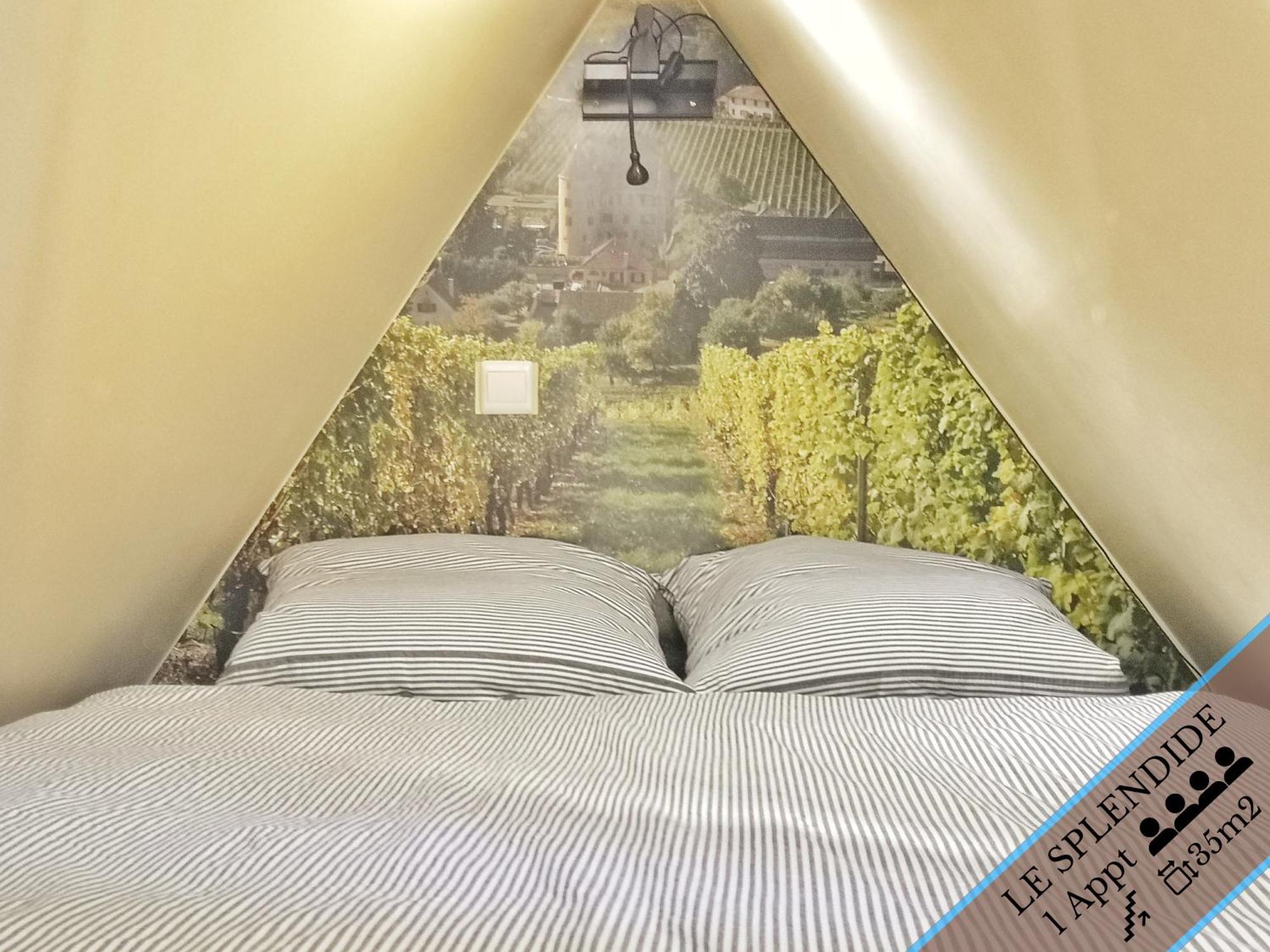 Splendide Appartement Barr - Route Du Vins Номер фото